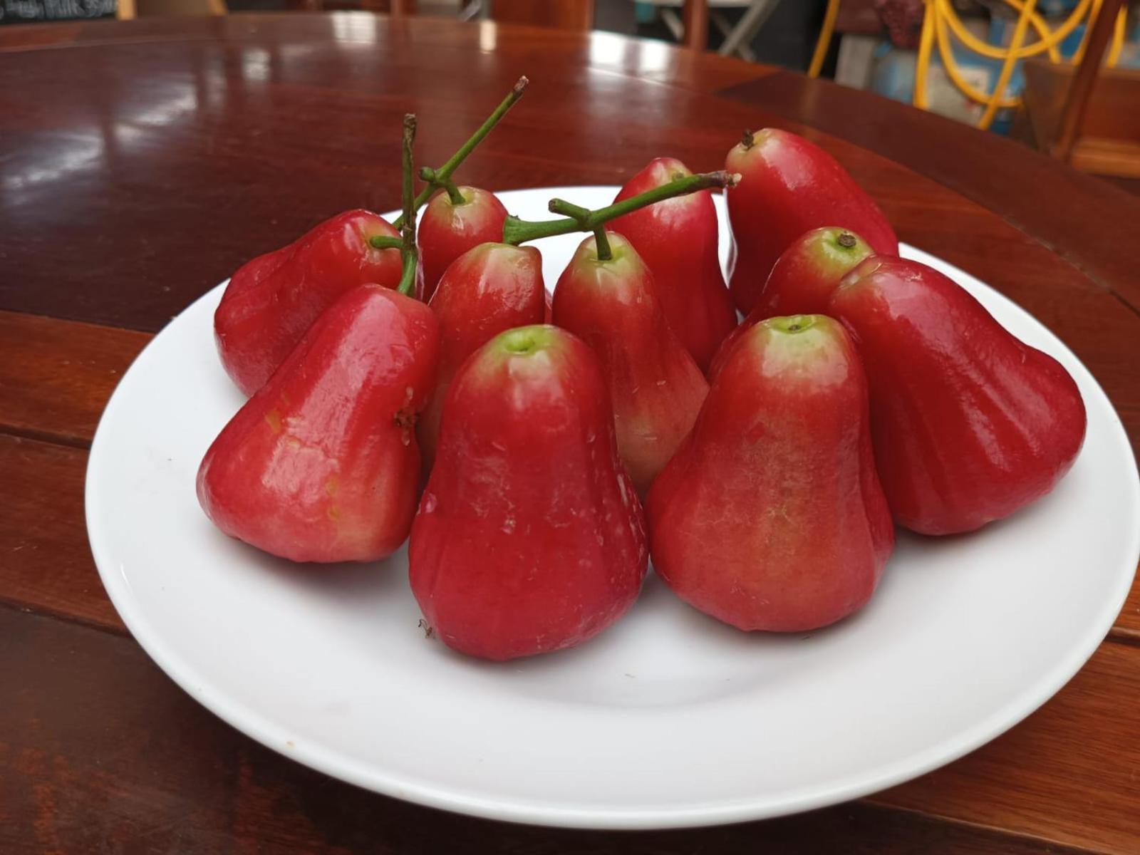 Song Lao Guesthouse Thakhek Esterno foto